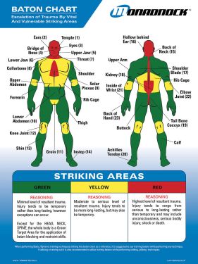 Monadnock Baton Trauma Zone Poster and Quick Reference Tool